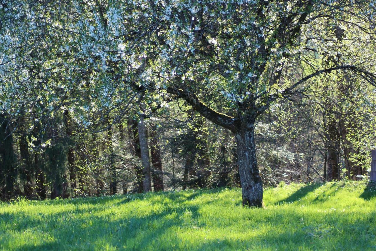 Naturparadies Silvia Alberschwende Exterior foto